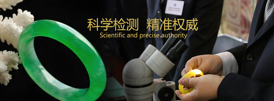 科学检测 精准权威